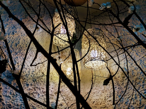 Three ornate lamps encased in intricate latticework hang amidst dark, intertwining branches against a textured wall. The warm light from the lamps casts soft shadows, creating an ambient and artistic atmosphere.
