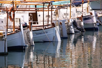 row of white sailboats