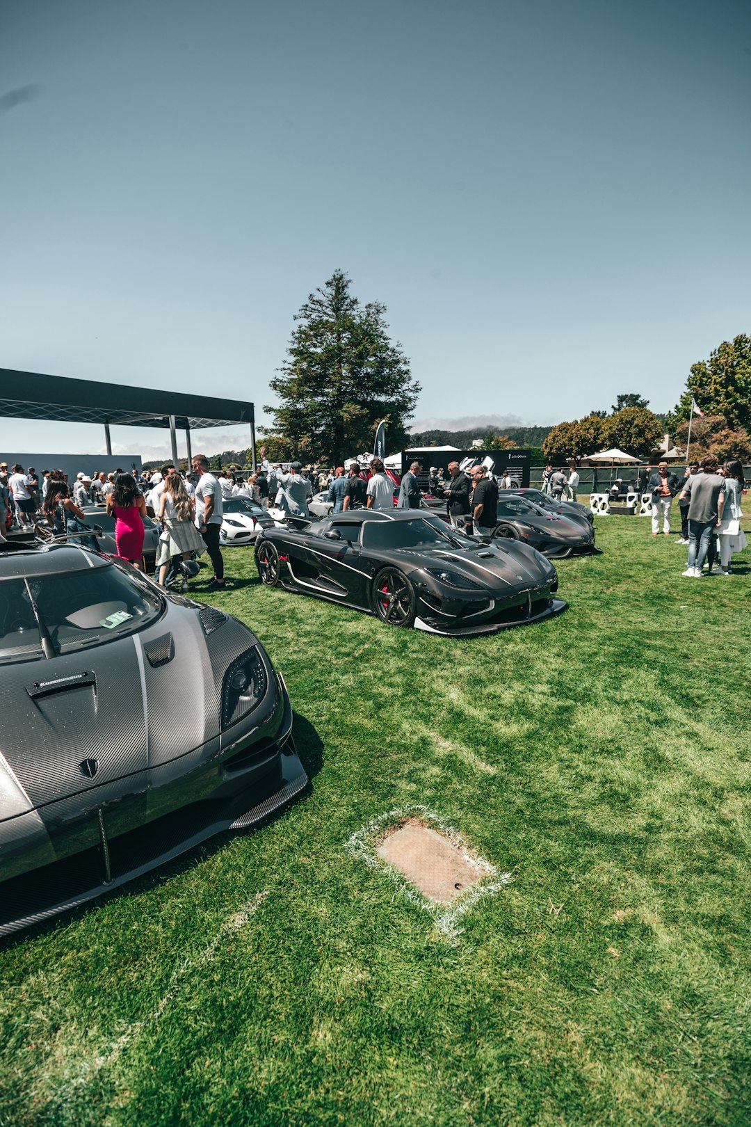 pared black coupes