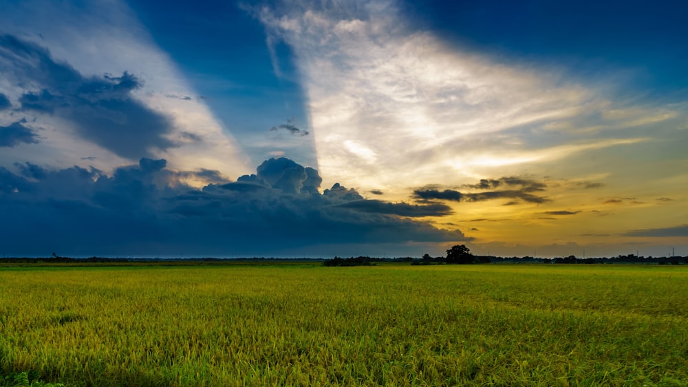 Foto de foto de paisaje de campos verdes – Imagen gratuita Naturaleza en  Unsplash