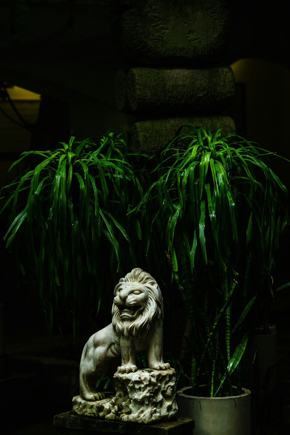 lion figurine and plants