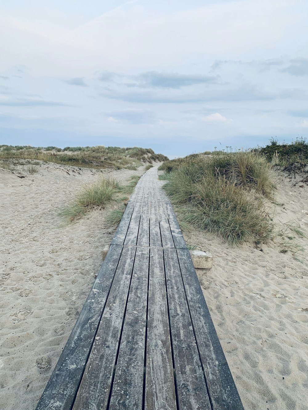 grey wooden pathway during daytime