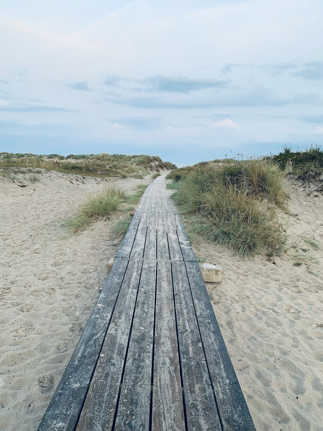 Ecoregion photo spot Sandhammarvägen 6 Sweden