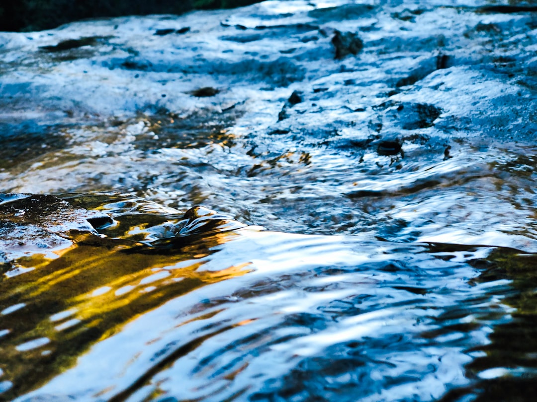 Watercourse photo spot Round Walk Wollongong NSW