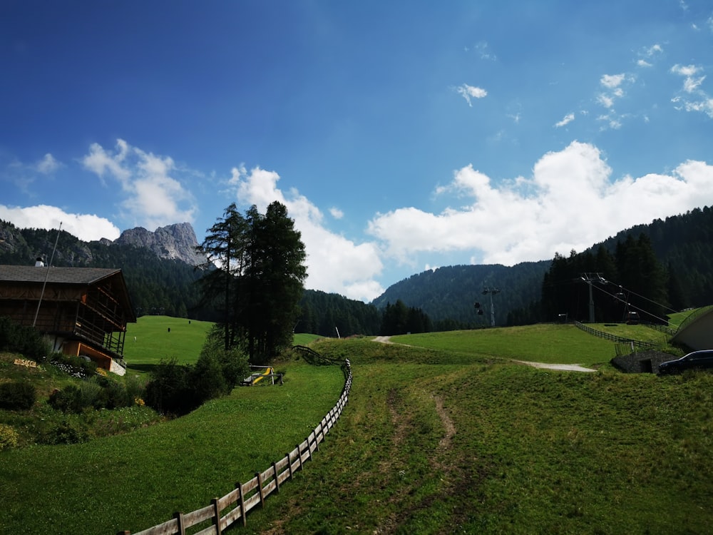 gramado de grama verde