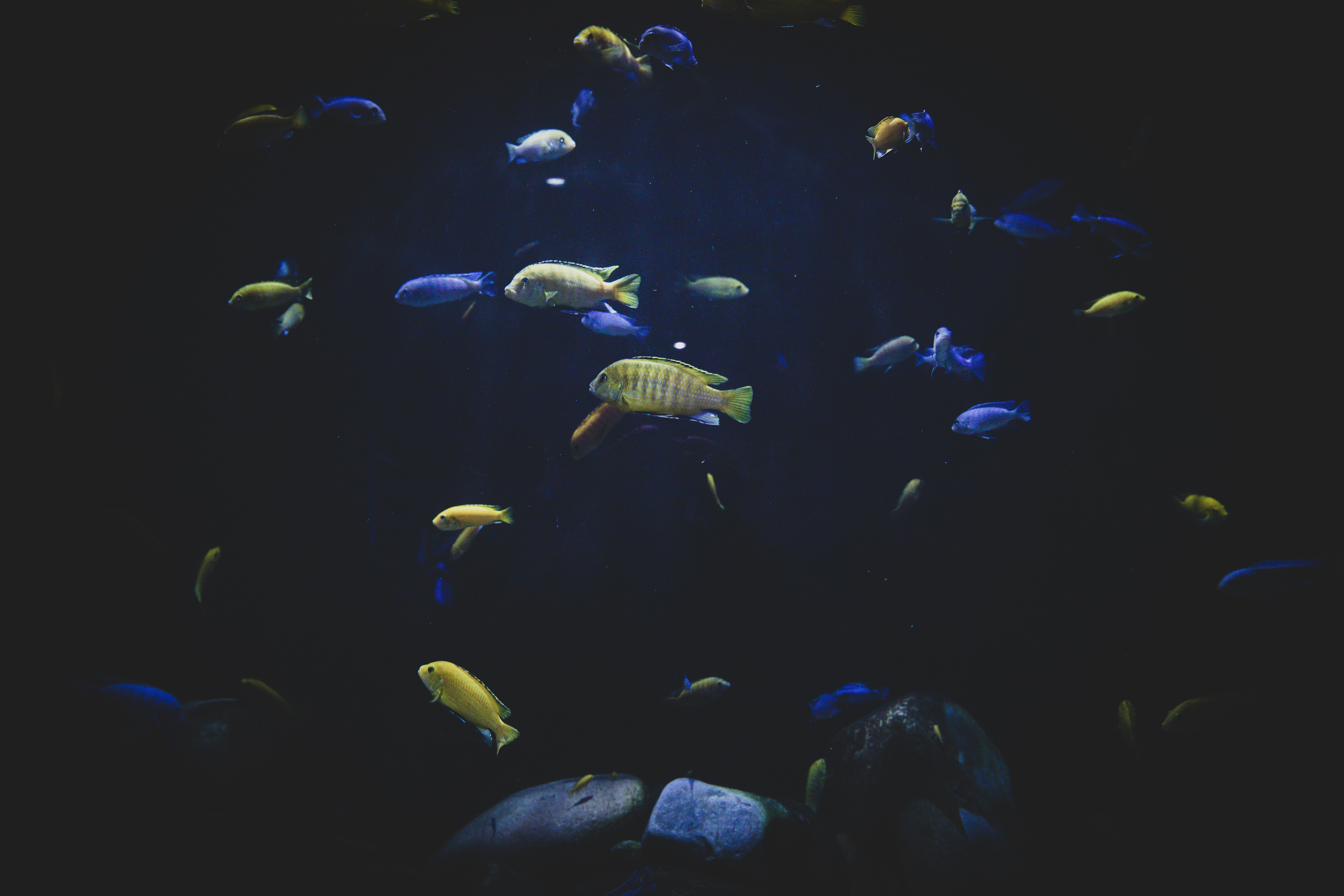 How Scientific Instruments Think for Us