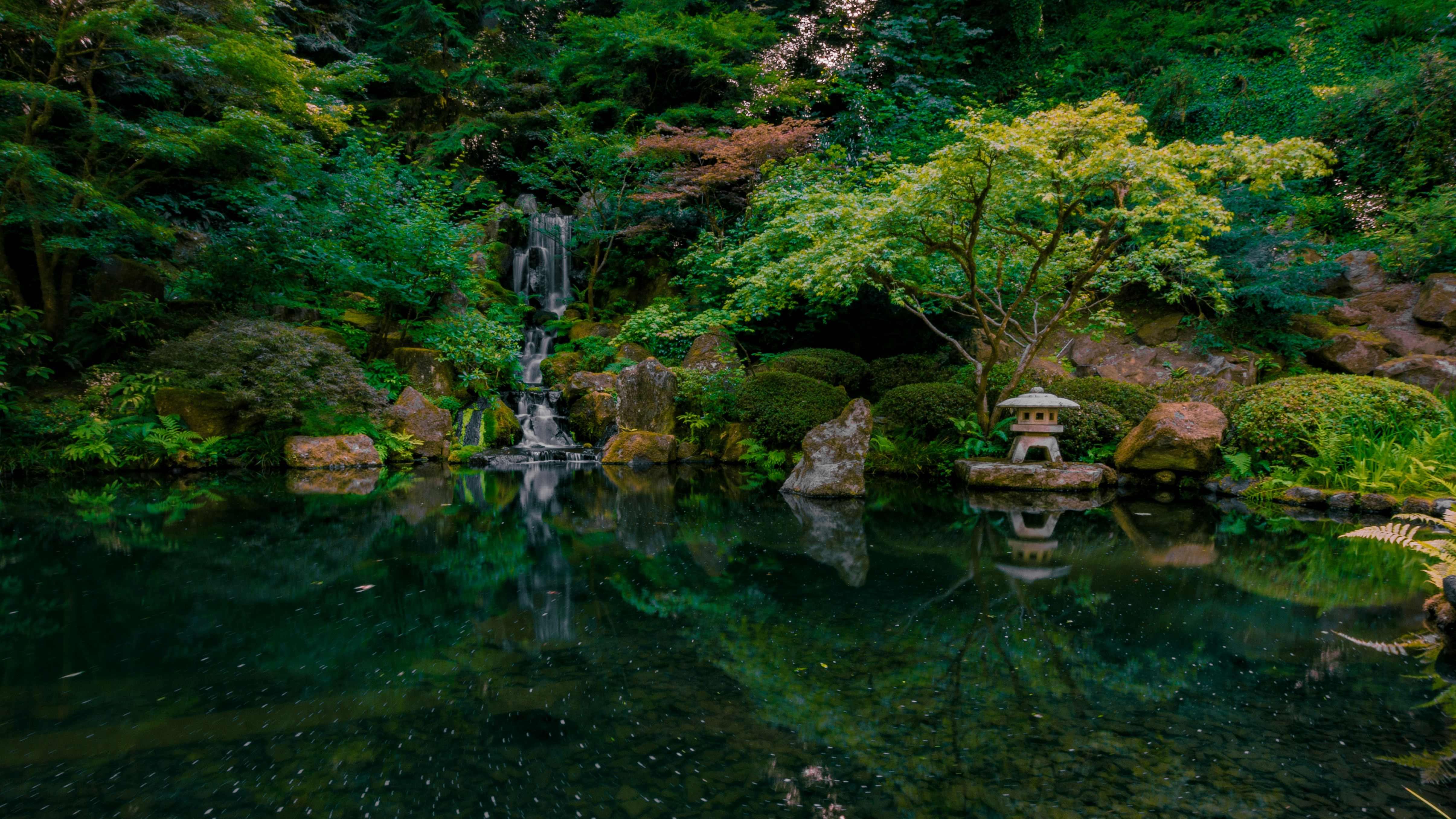 Photo by redermarius