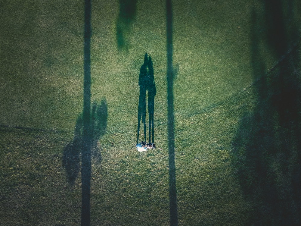 aerial view of couple on grass