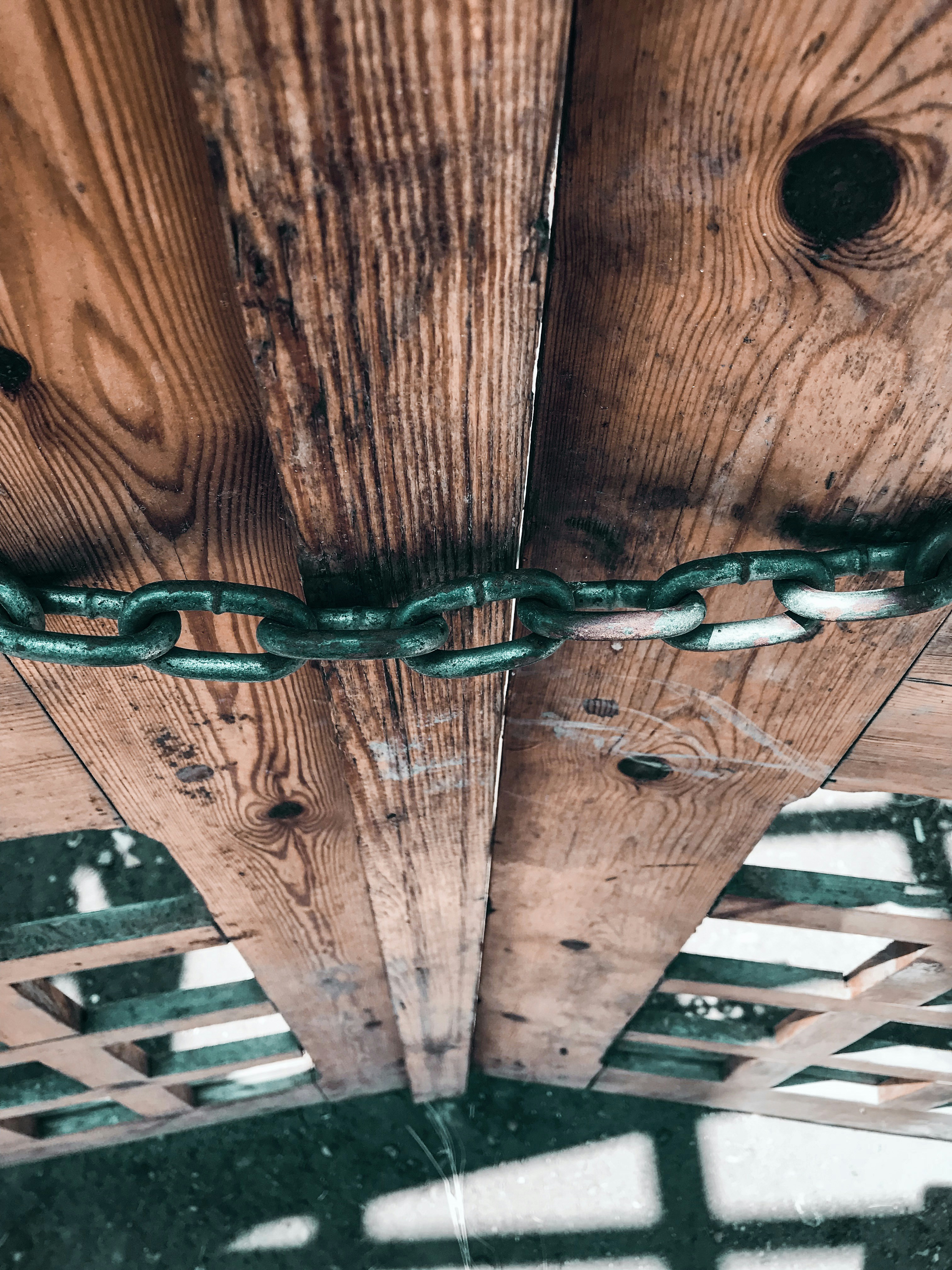 Photo by mostafatarek18