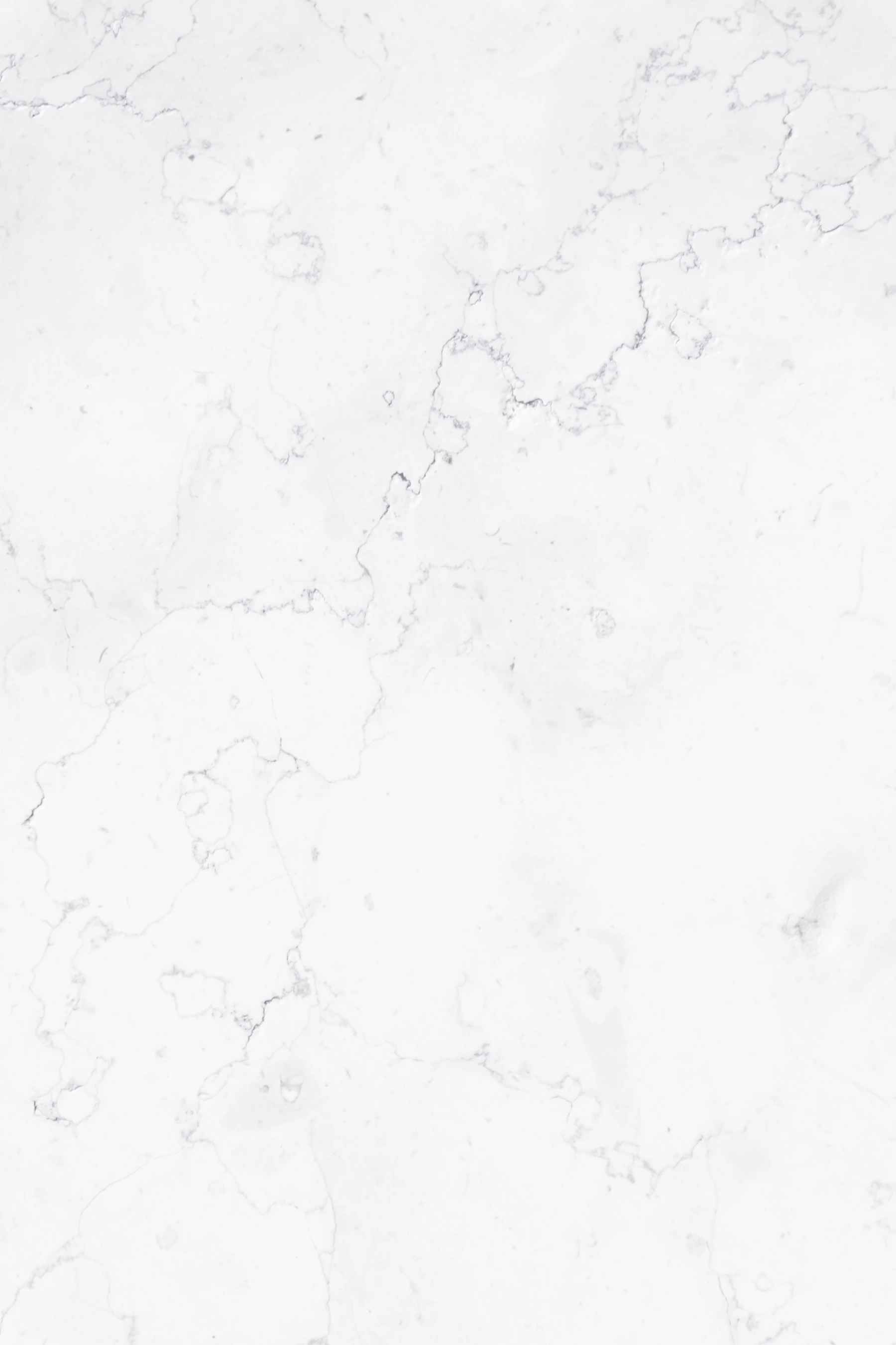 Veining and the individual character of a slab
