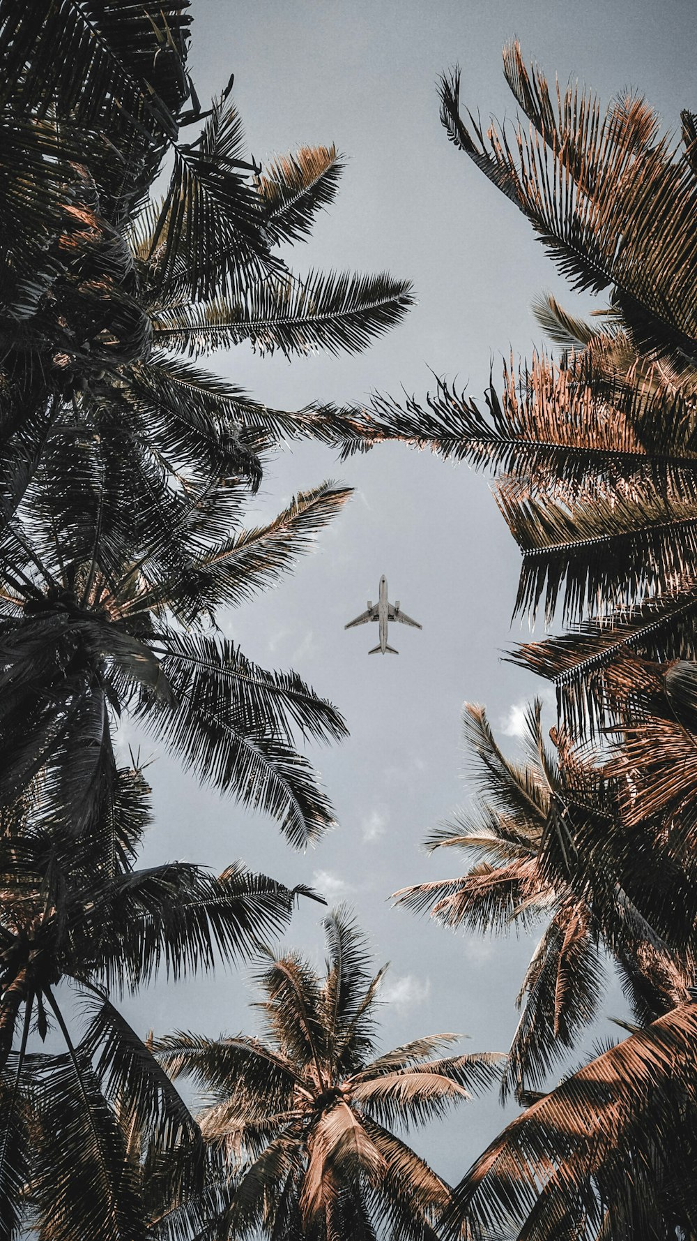 low angle photo of airplane