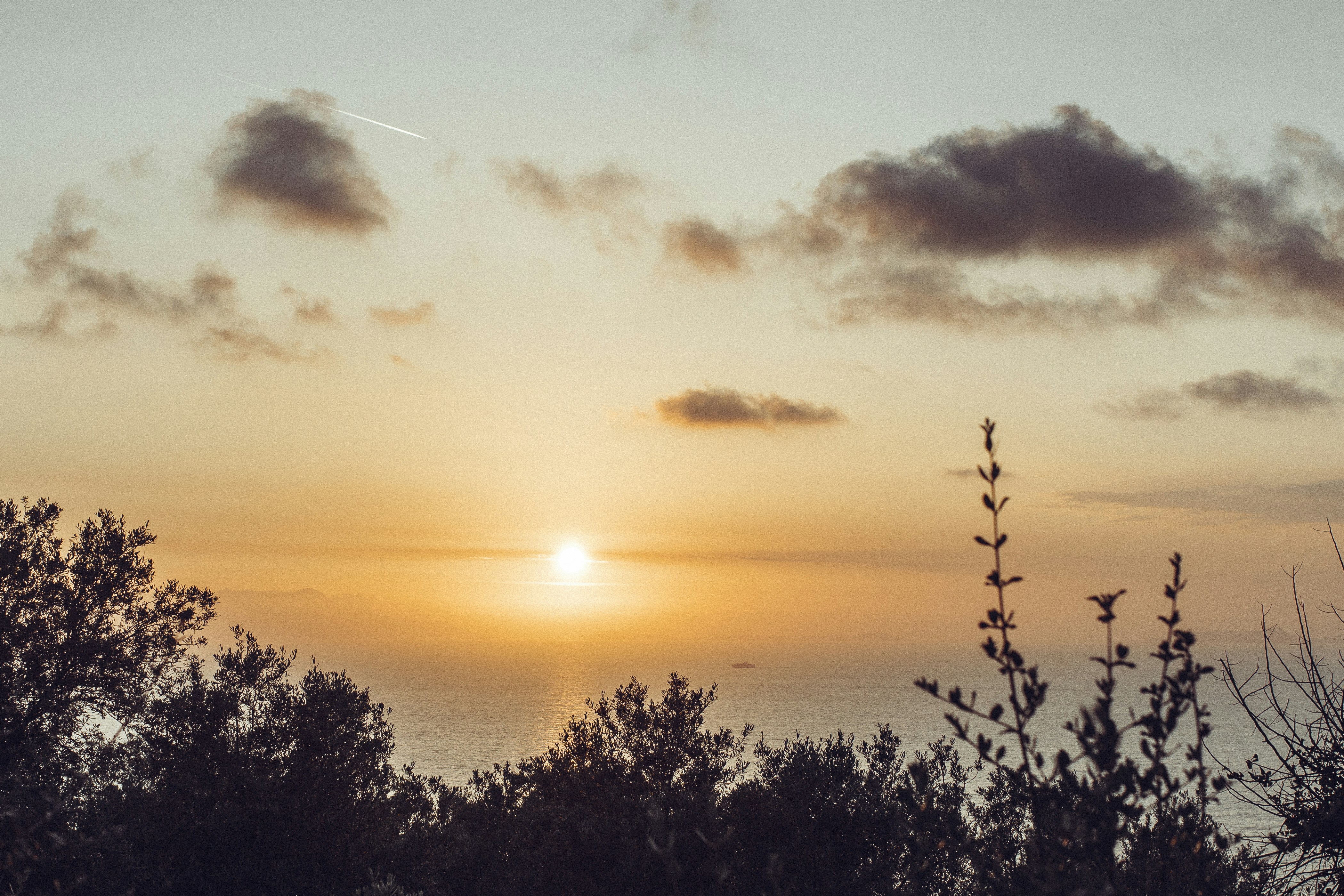 body of water view during golden hour