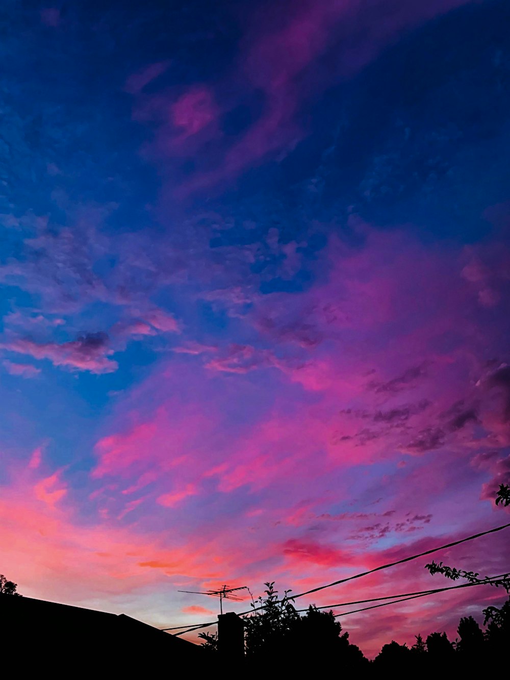 blue and purple skies