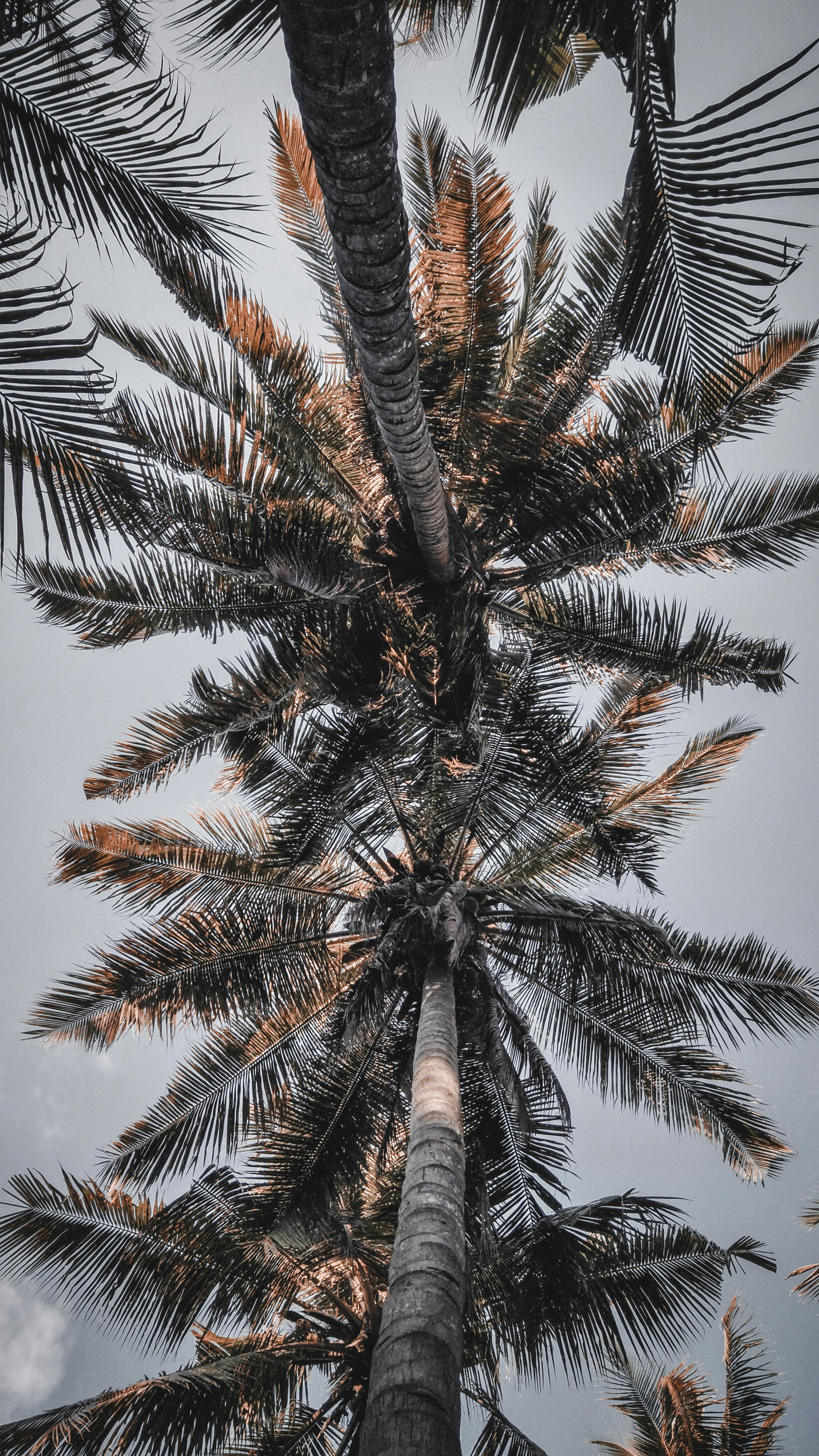 Photo by juliartana4