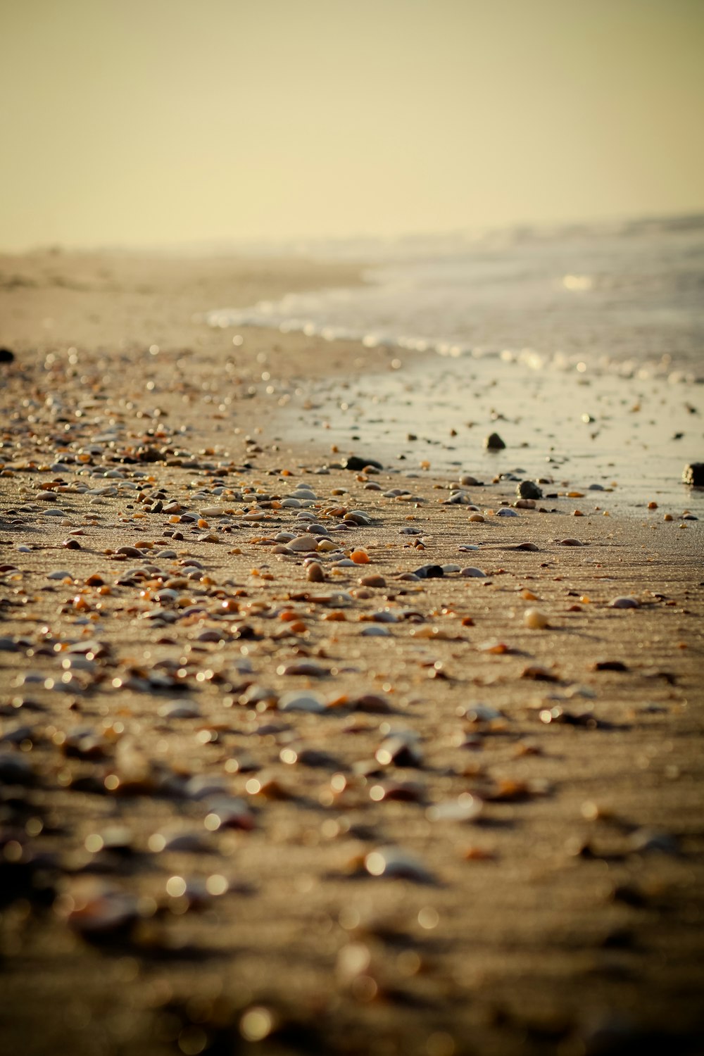 seashore during daytime