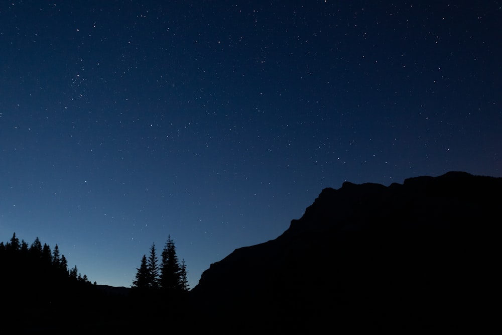 silhouette of mountain and trees at night