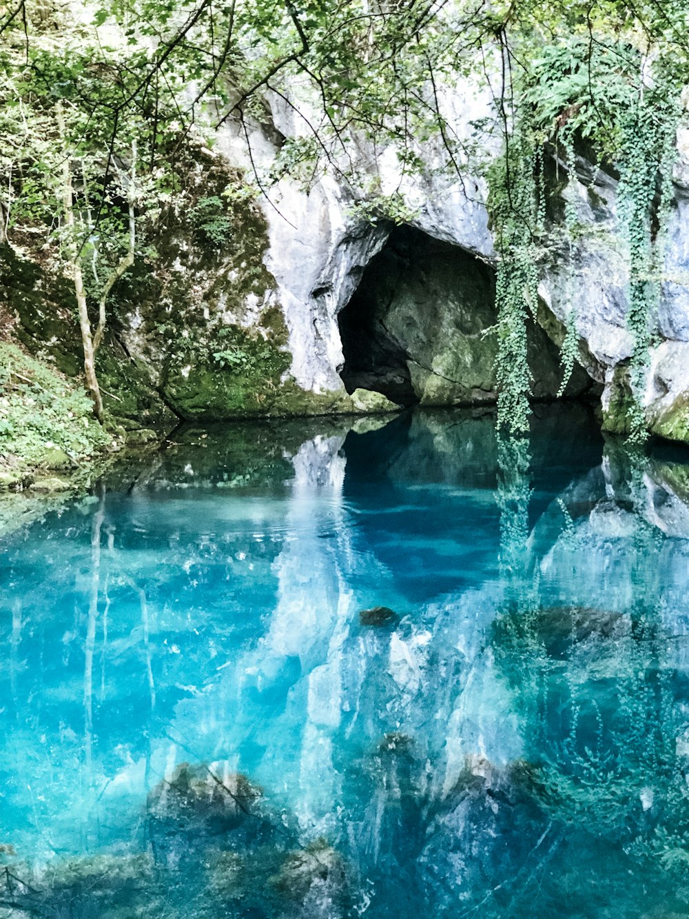 reflection of green trees on crystal blue body of water