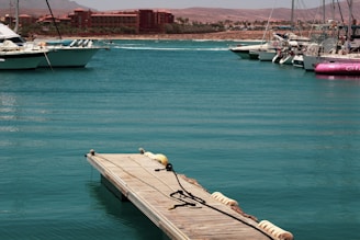 dock during daytime