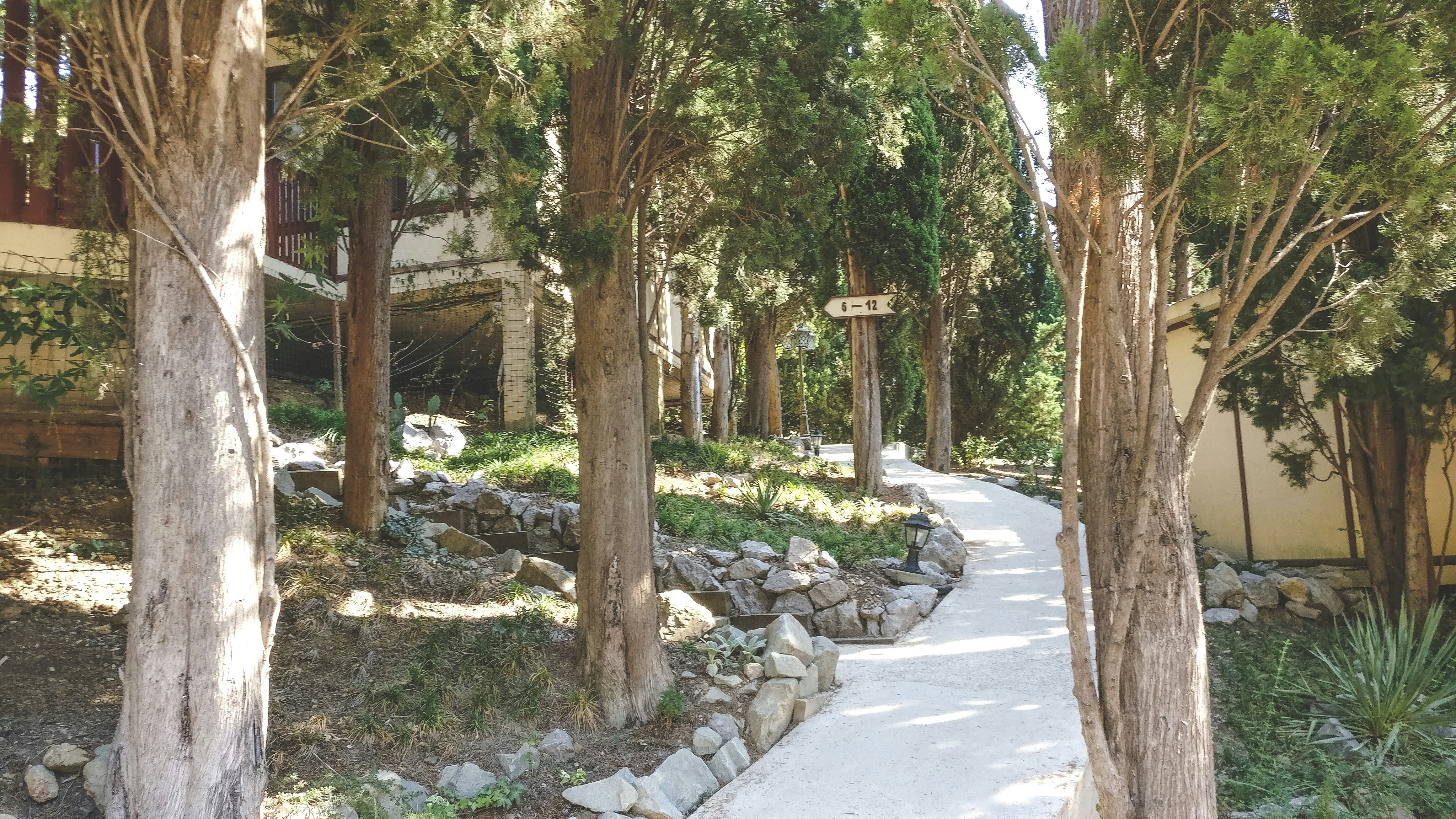 walkway surrounded by trees