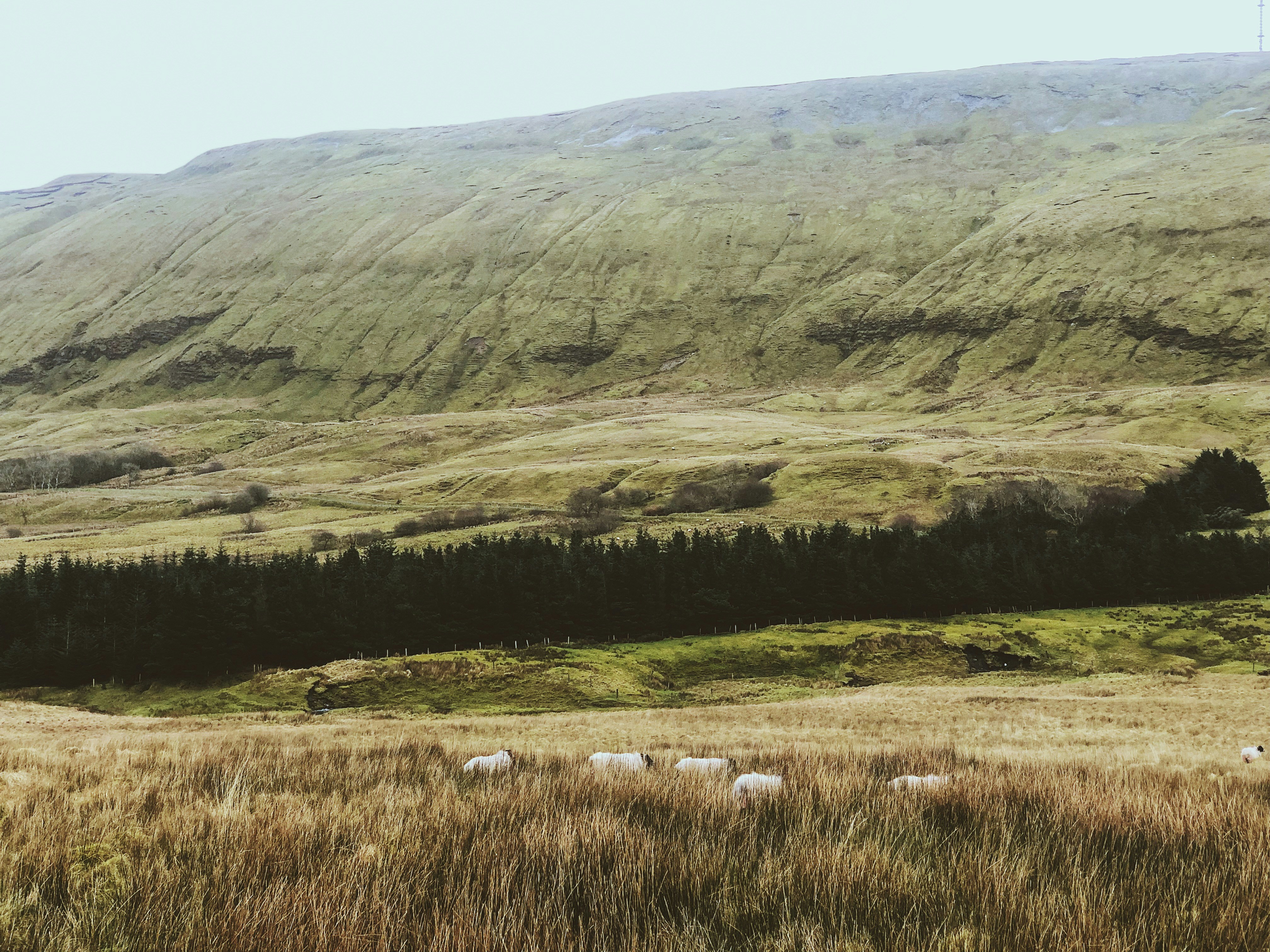 Photo by mattj_bowden