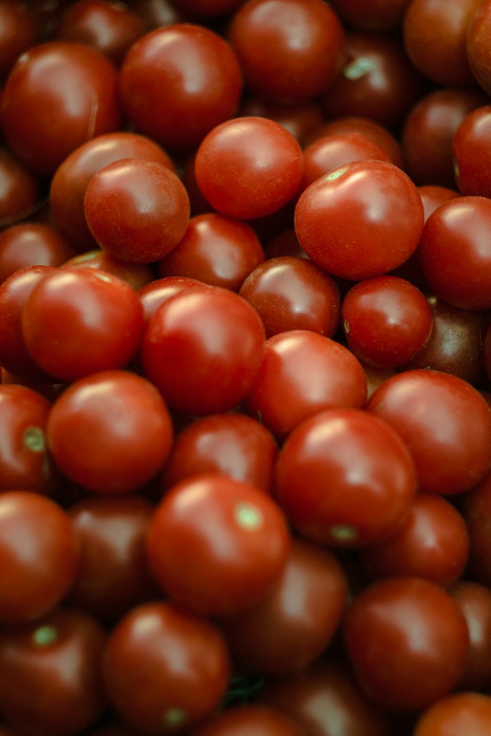 tomato fruits