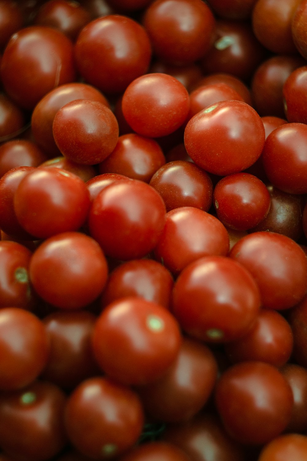 Tomatenfrüchte