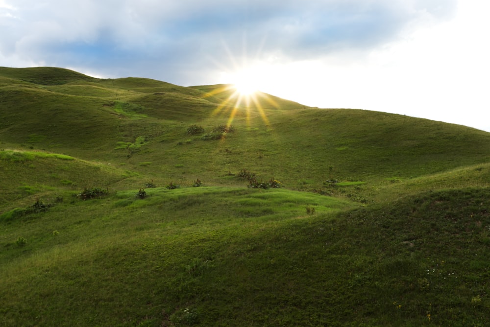 green grass field during daytime