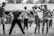 A group of people engaged in a physical activity or exercise routine outdoors. The scene features individuals in various poses and positions, seemingly participating in a coordinated exercise session. The setting appears to be a yard or garden with a backdrop of trees and a wall.