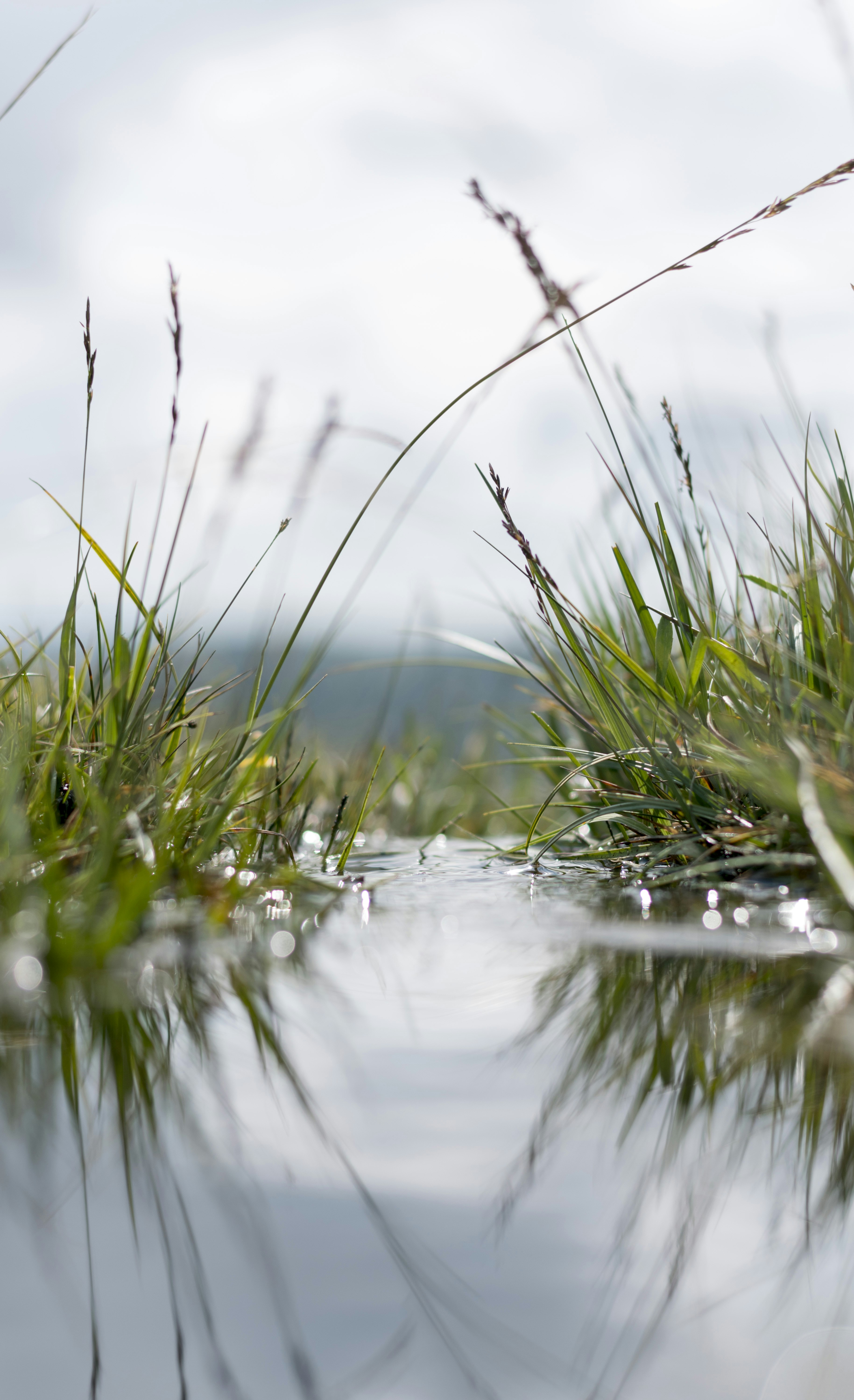 Photo by itsrobcoates