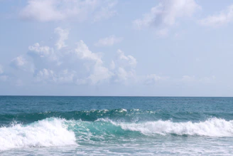 Peaceful sea waves gently touching the sandy beach under a clear blue sky.