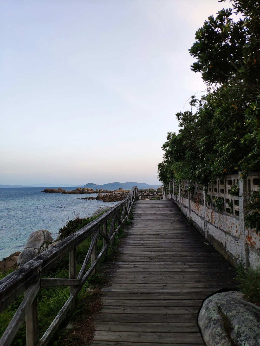 wooden pathway in coastal area