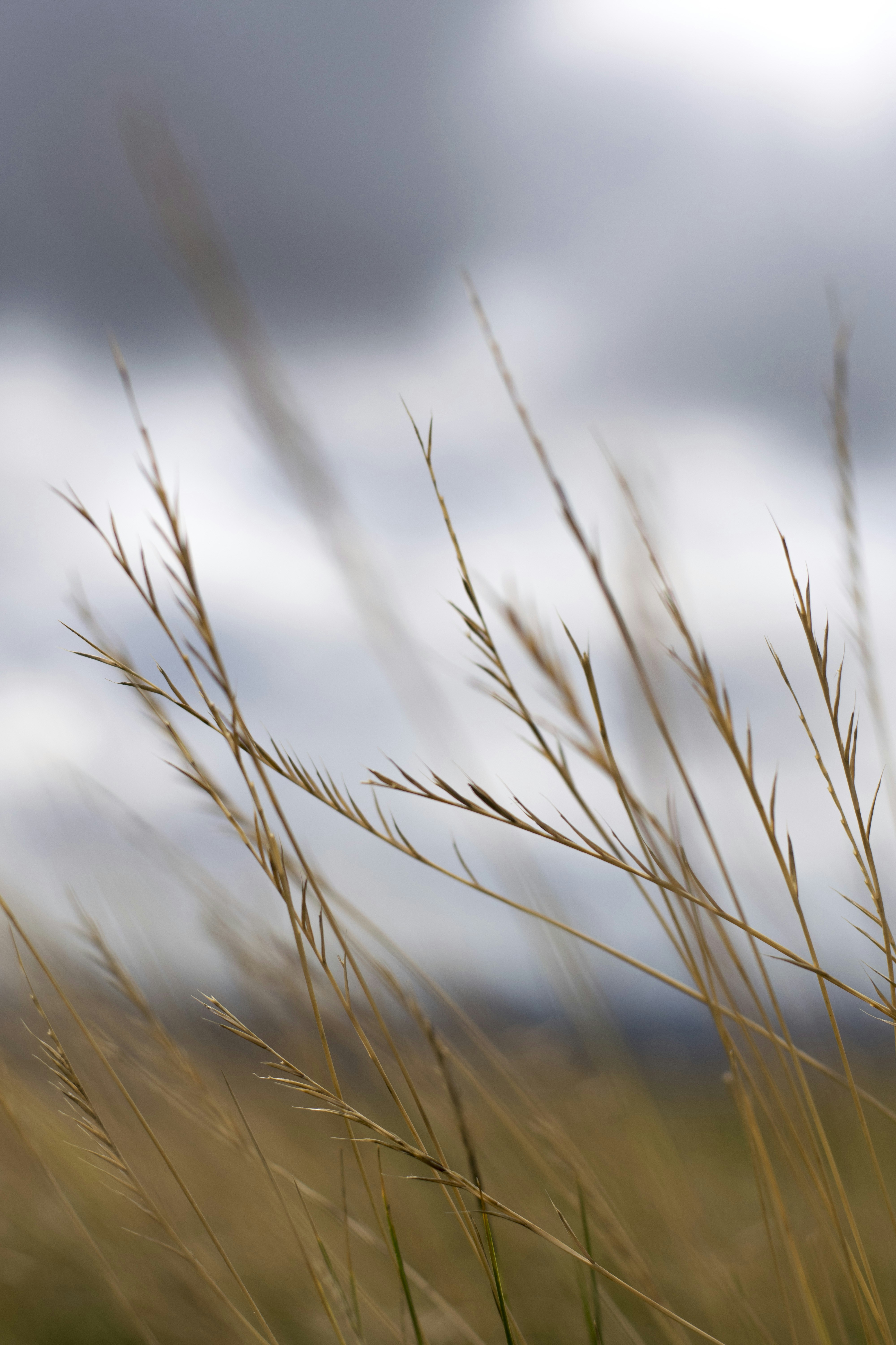 Photo by itsrobcoates