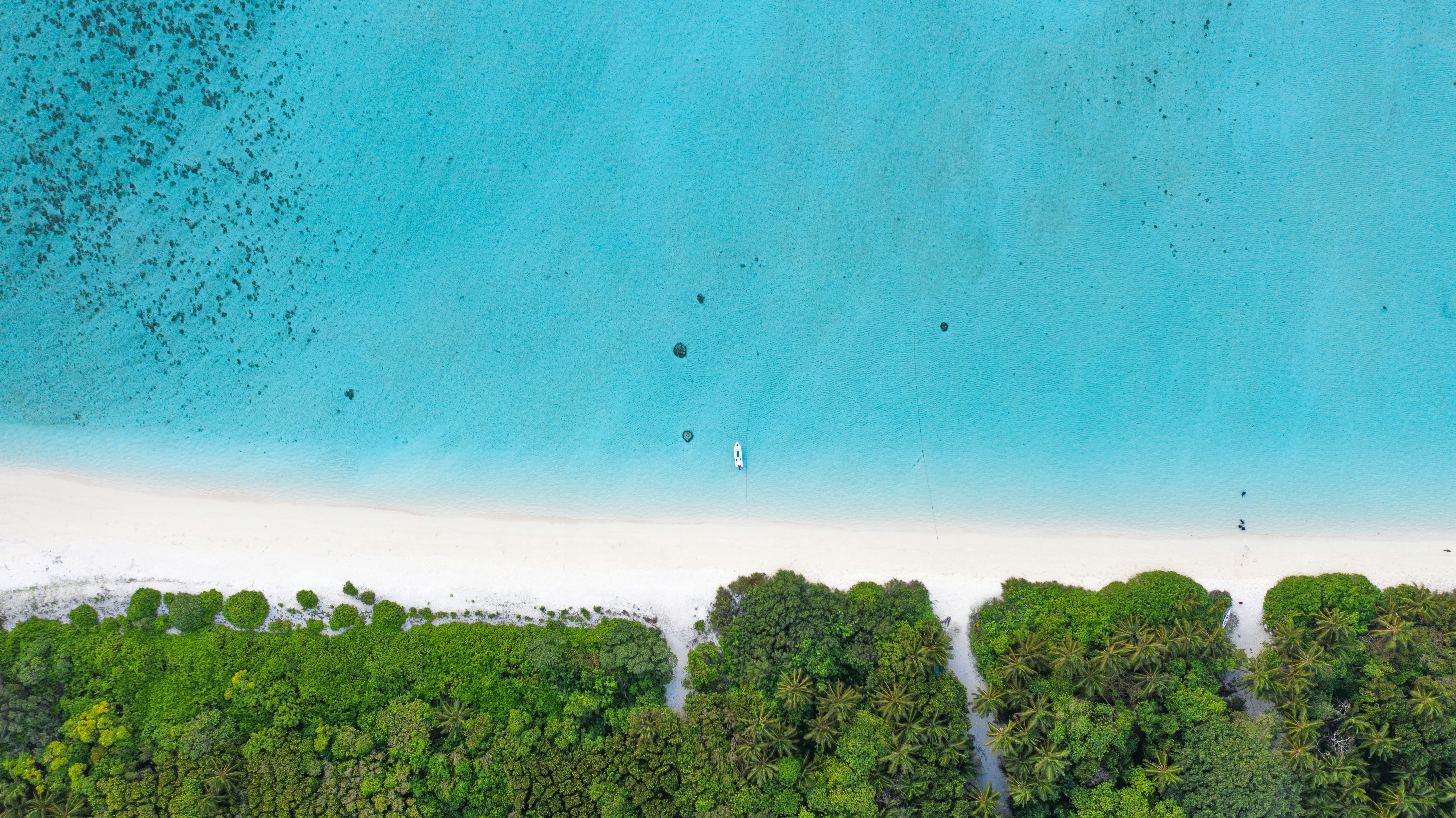 blue ocean photograph