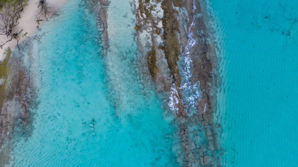 ocean and seashore