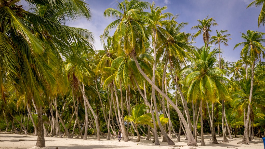 Body of water photo spot Laccadive Sea Maldives