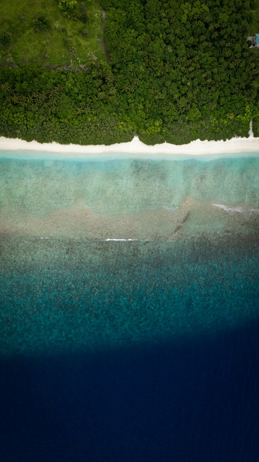 aerial view of white sand beach