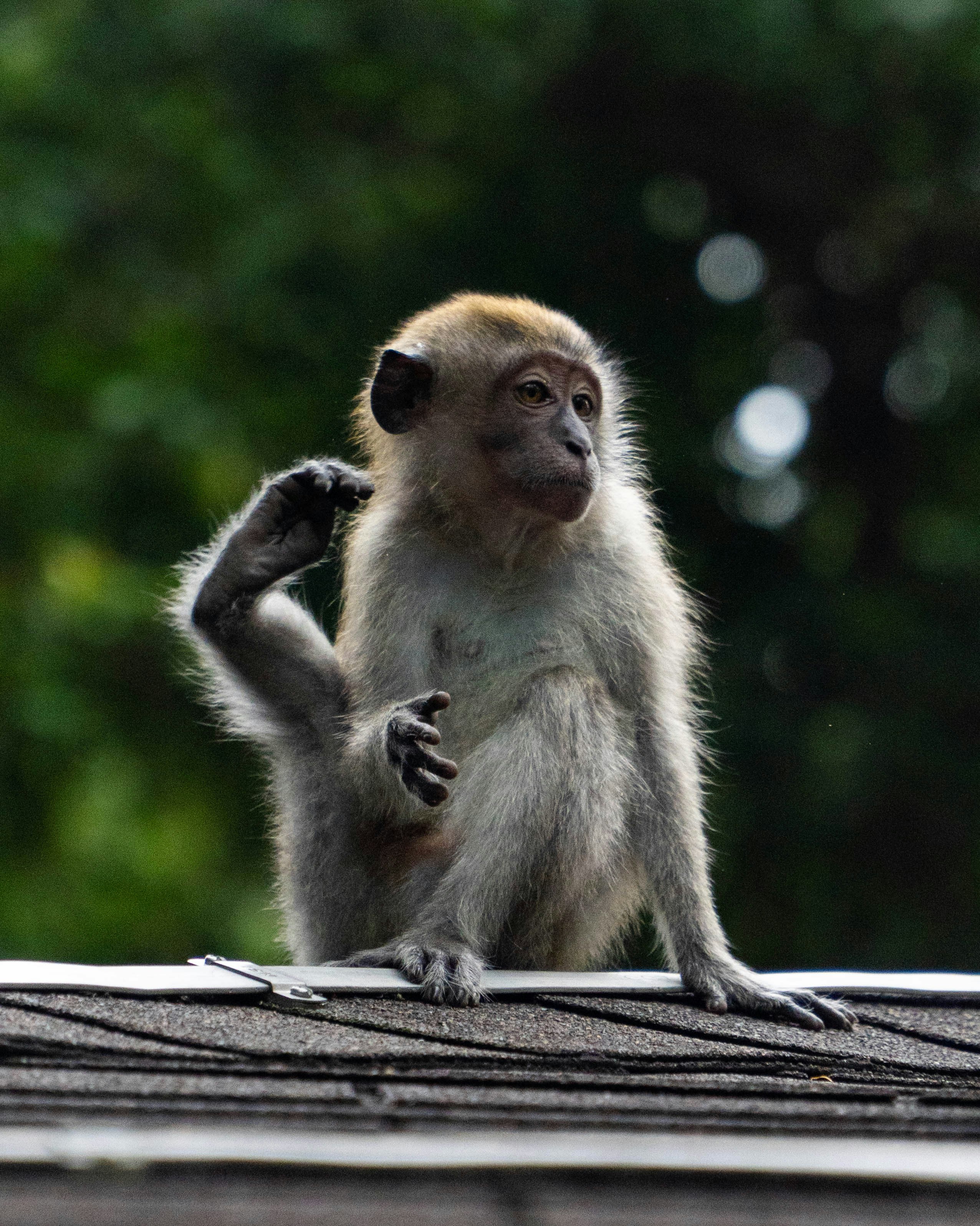 Photo by jamesspencer