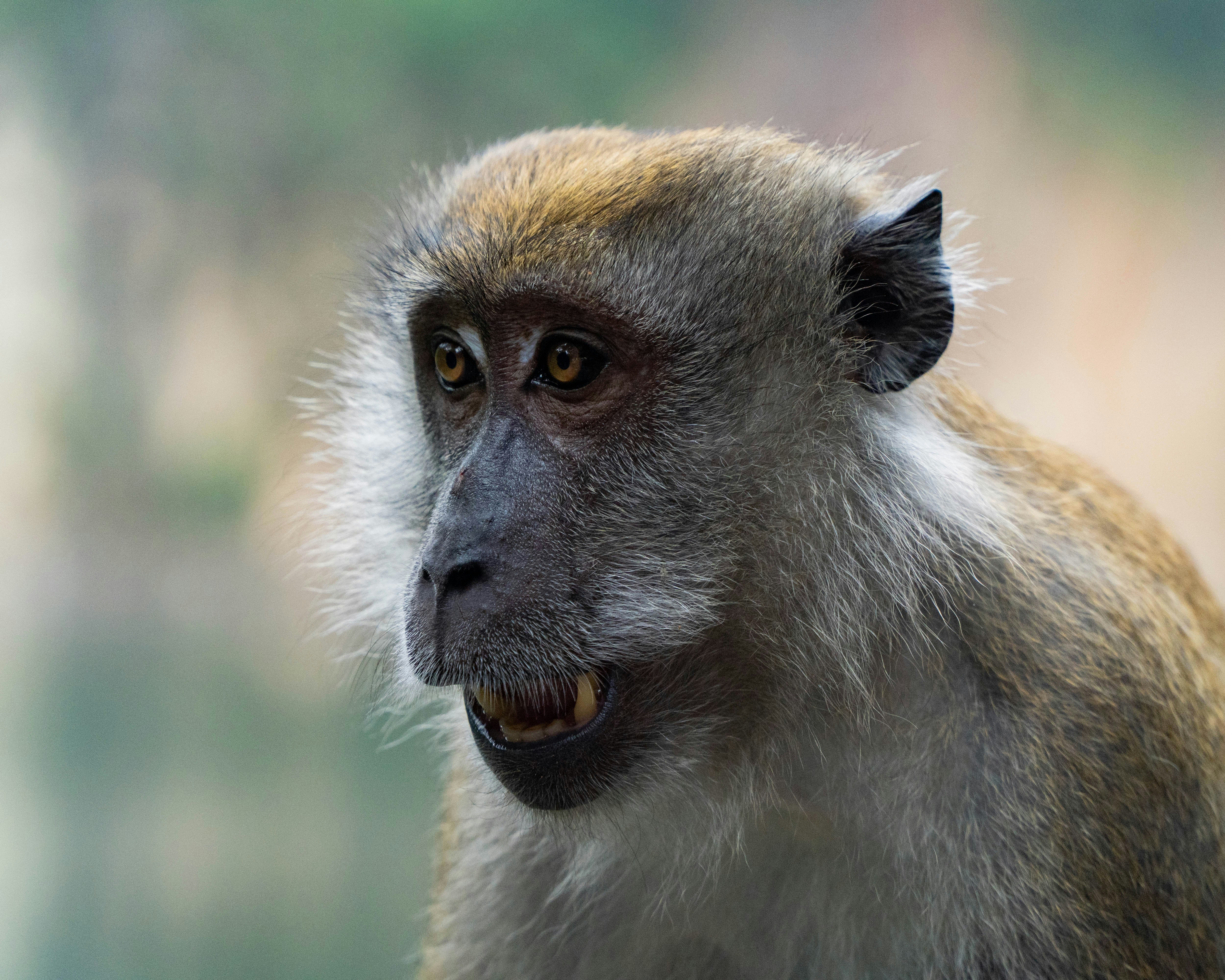 Photo by jamesspencer