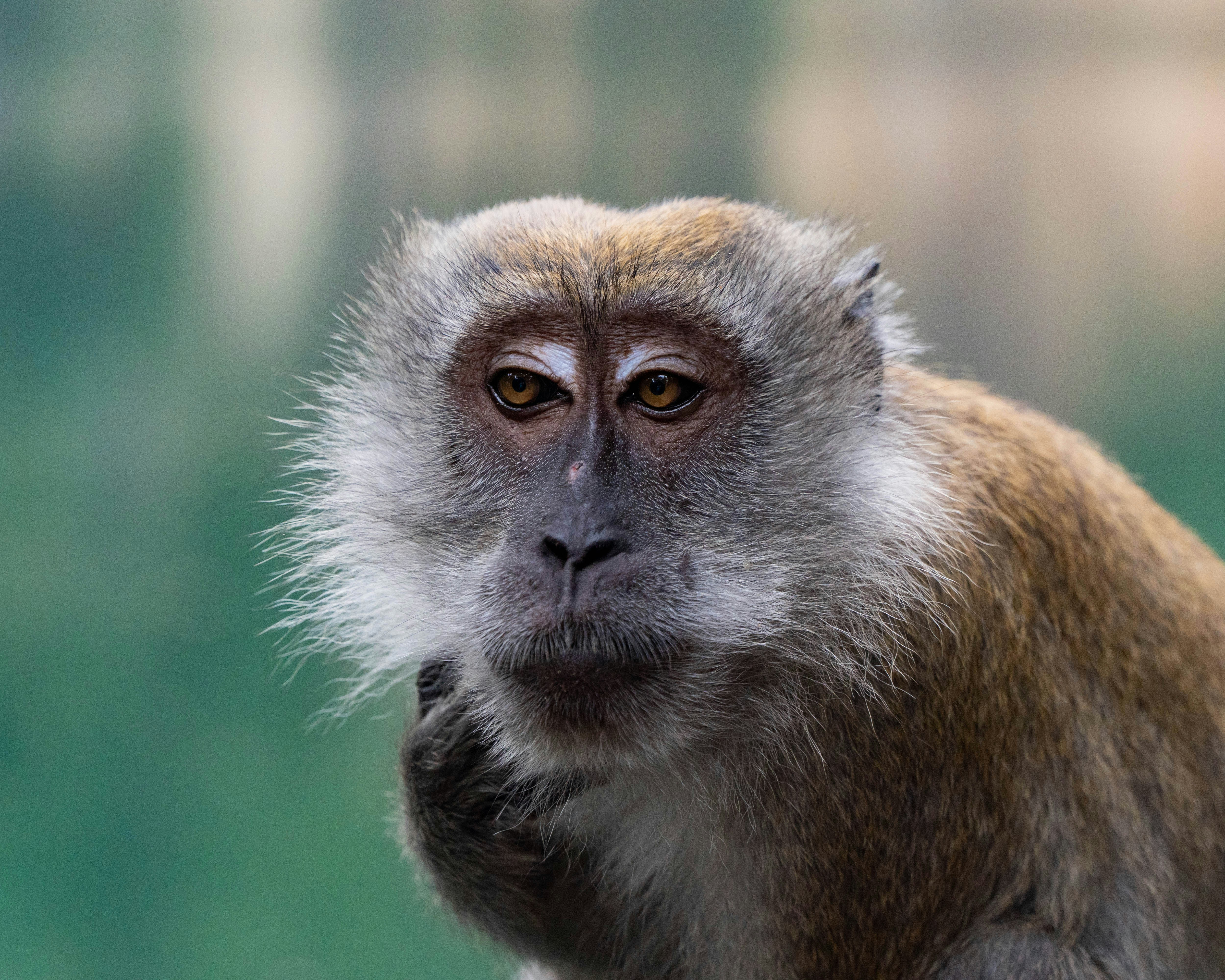 Photo by jamesspencer