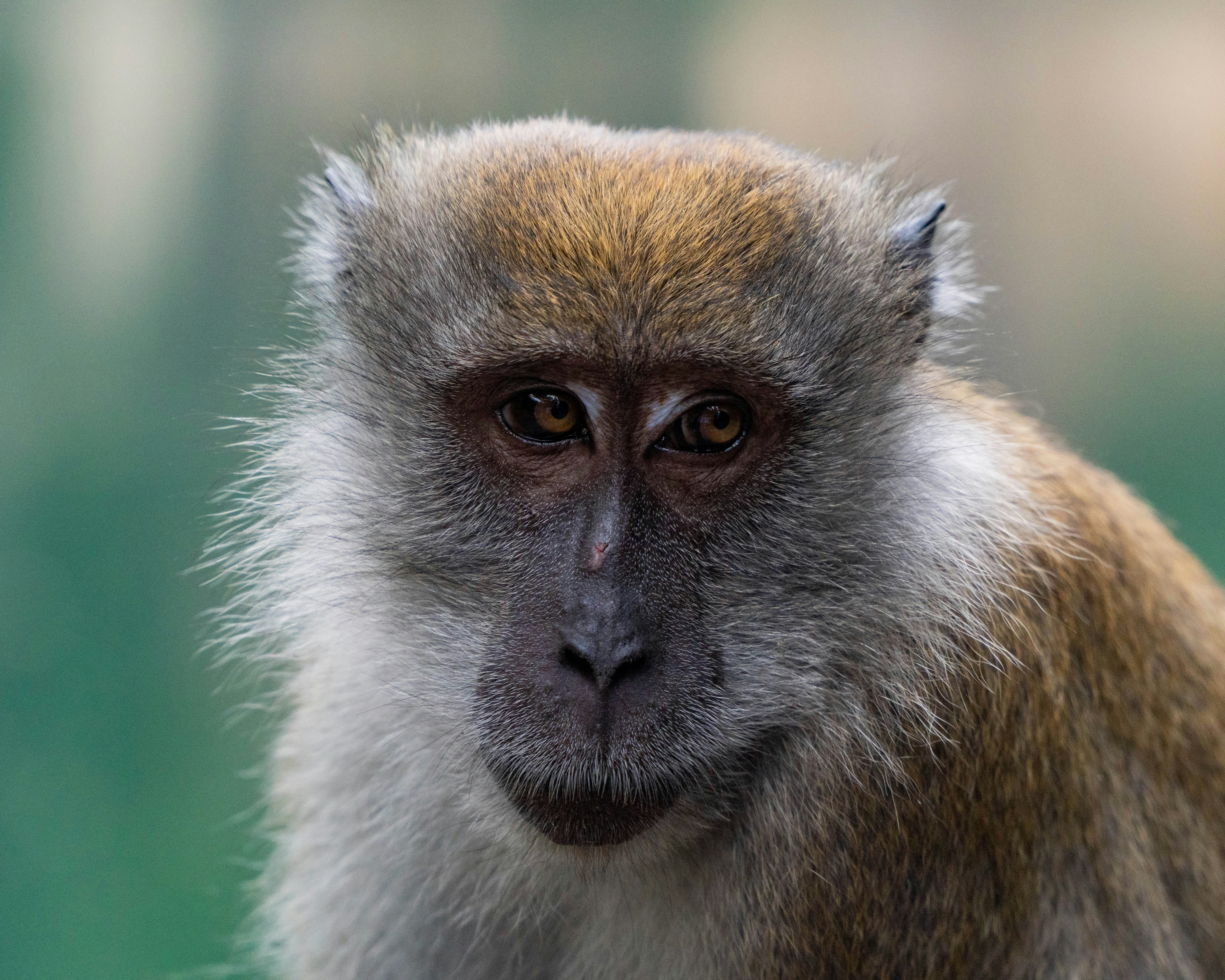 Photo by jamesspencer