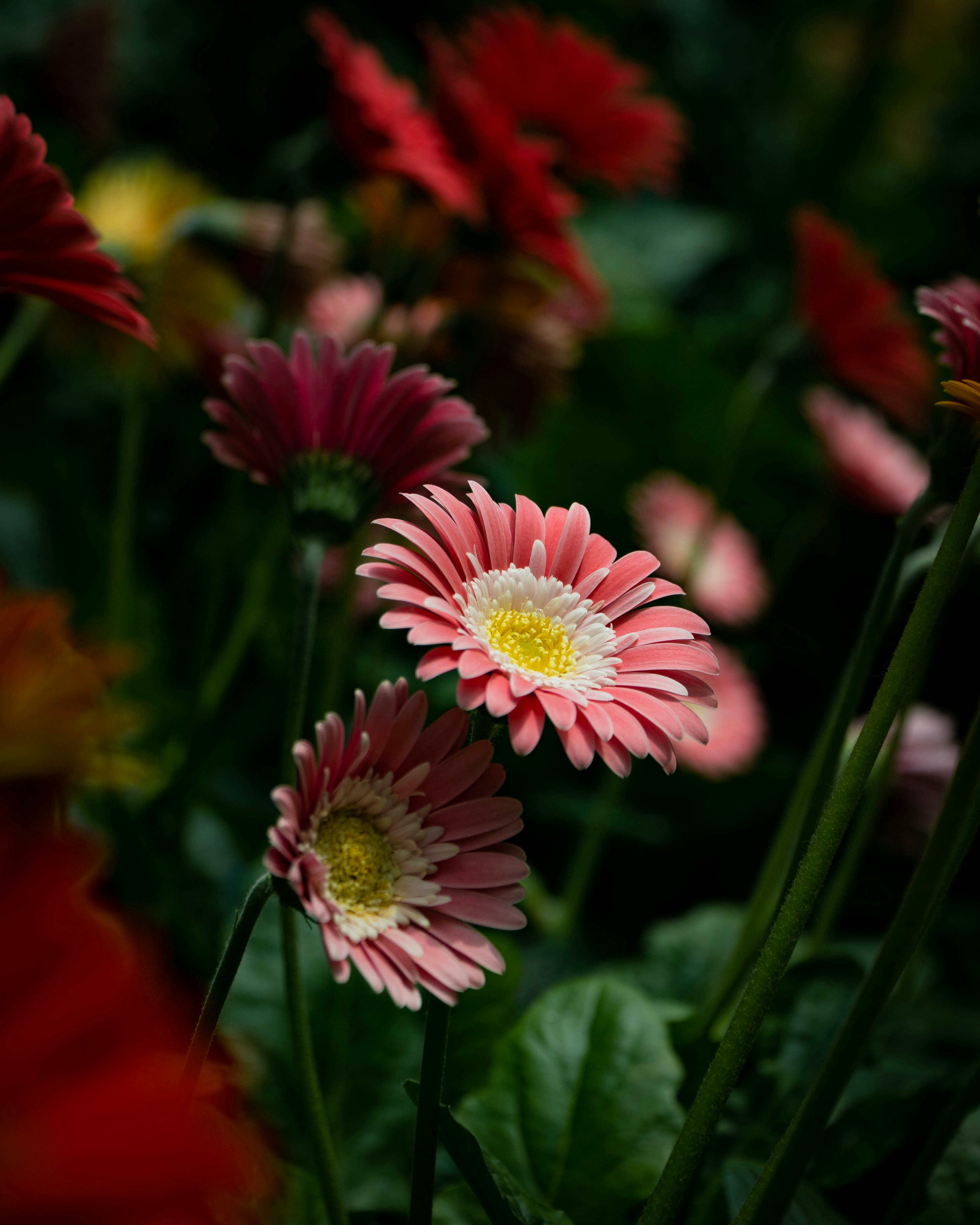 Photo by jamesspencer