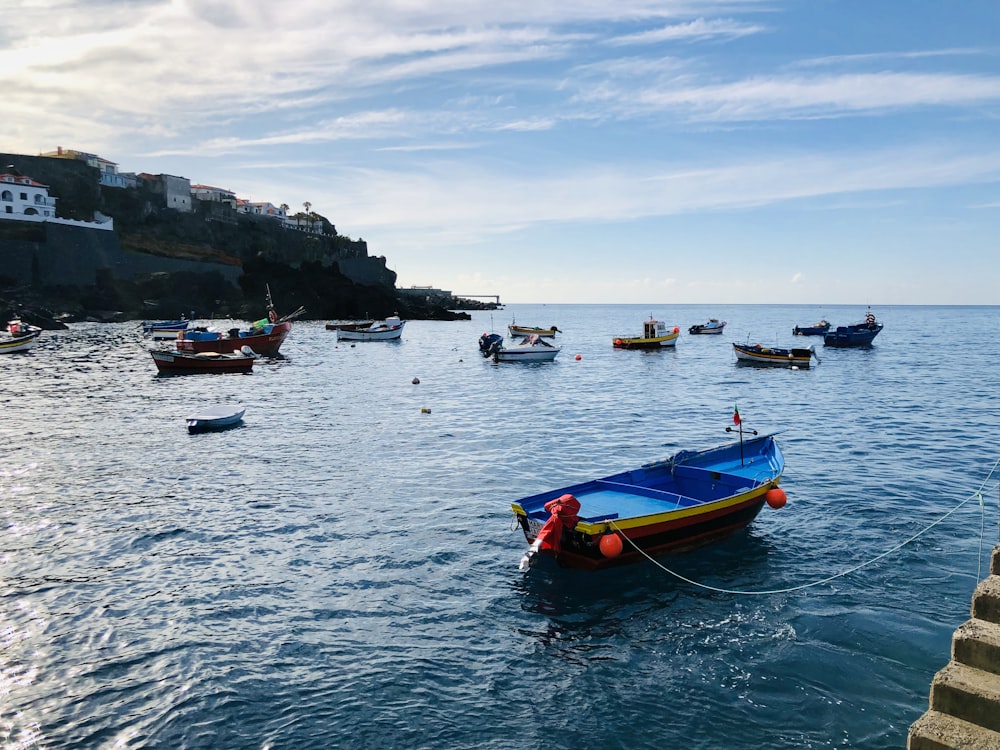 boats in body of water