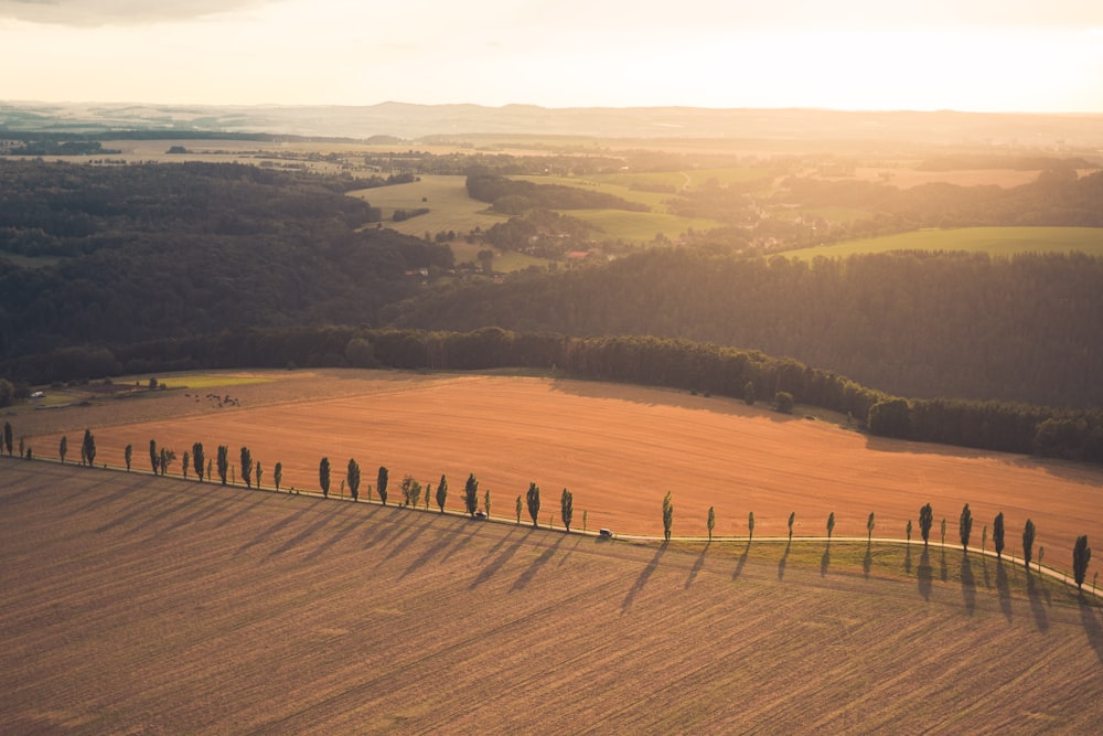 aerial photography of green and brown land