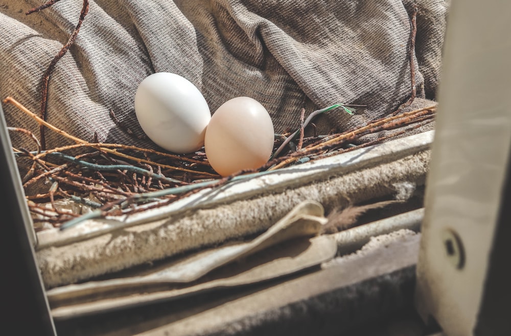 two white eggs