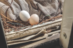 Duck Eggs