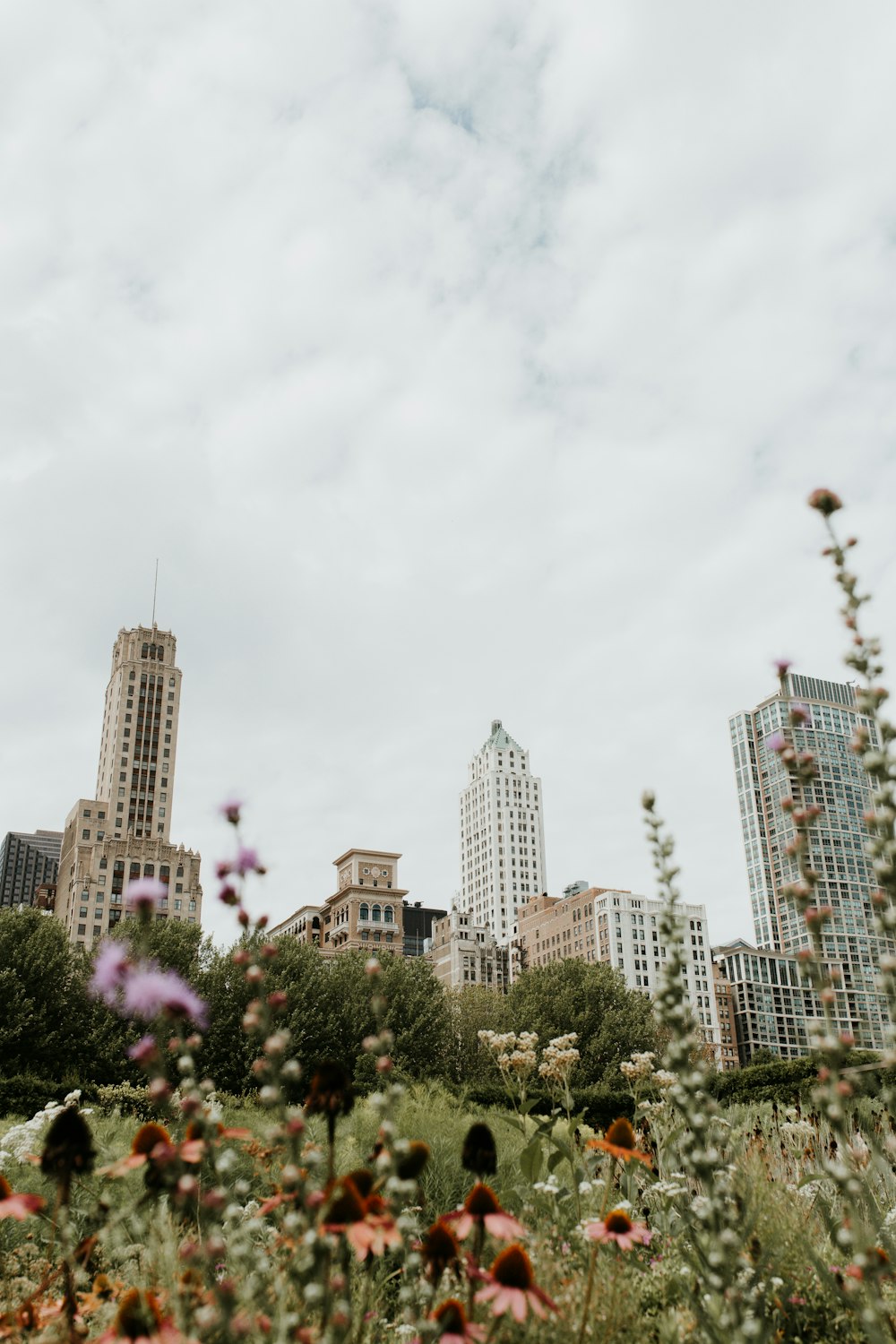 low-angle photography of urban city buildings under a cloudy sky