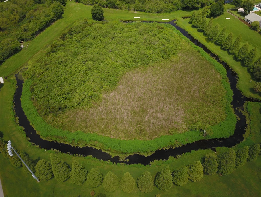 aerial photography of body of water surrounded by green trees