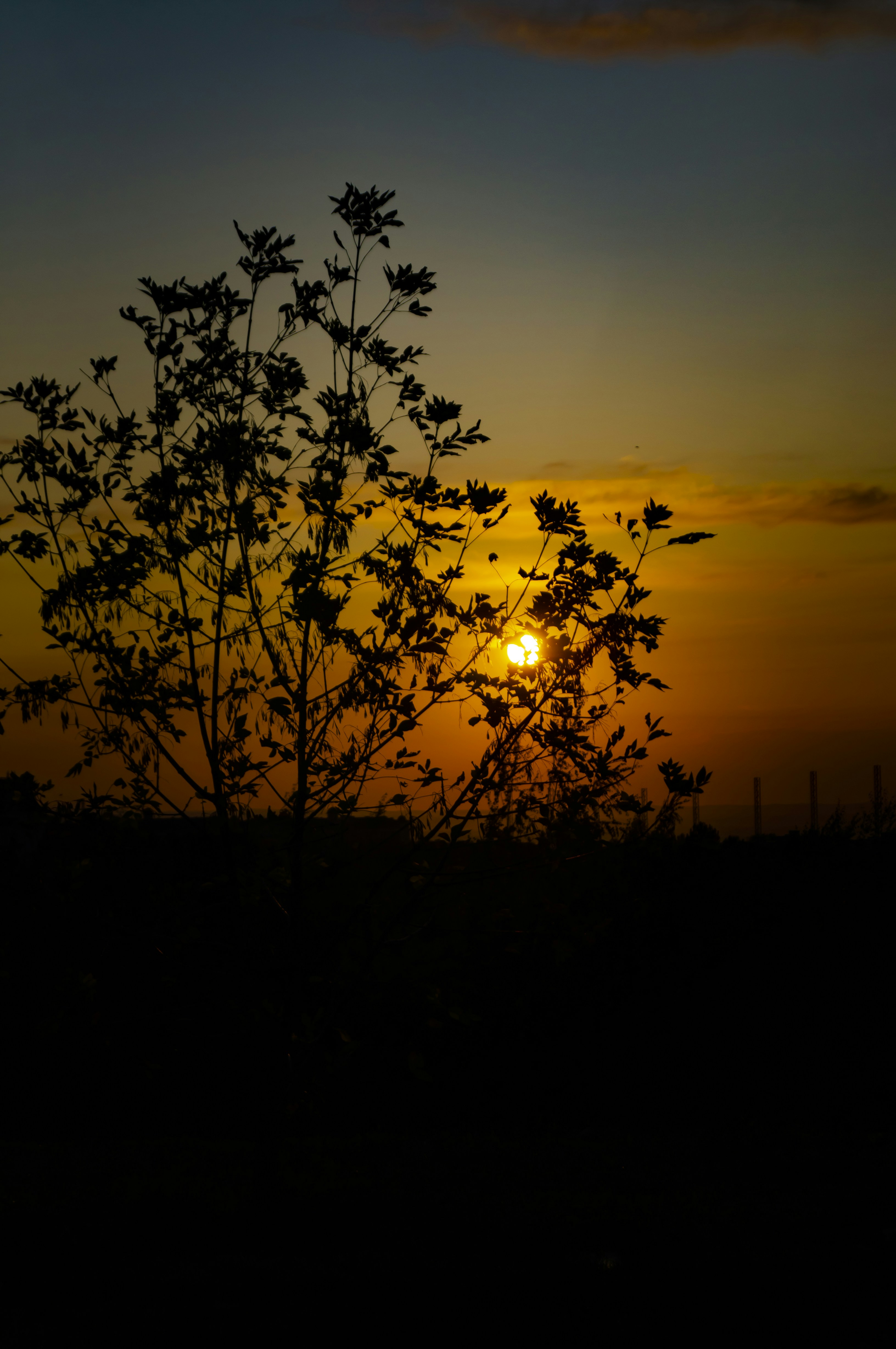 Photo by witikiki