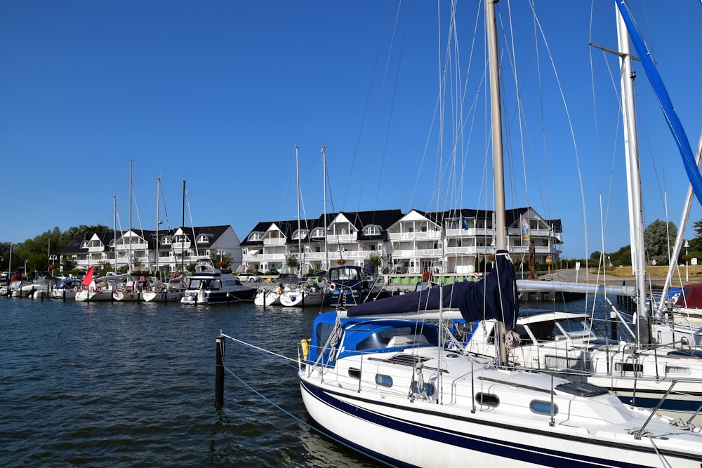 white boats on harbour