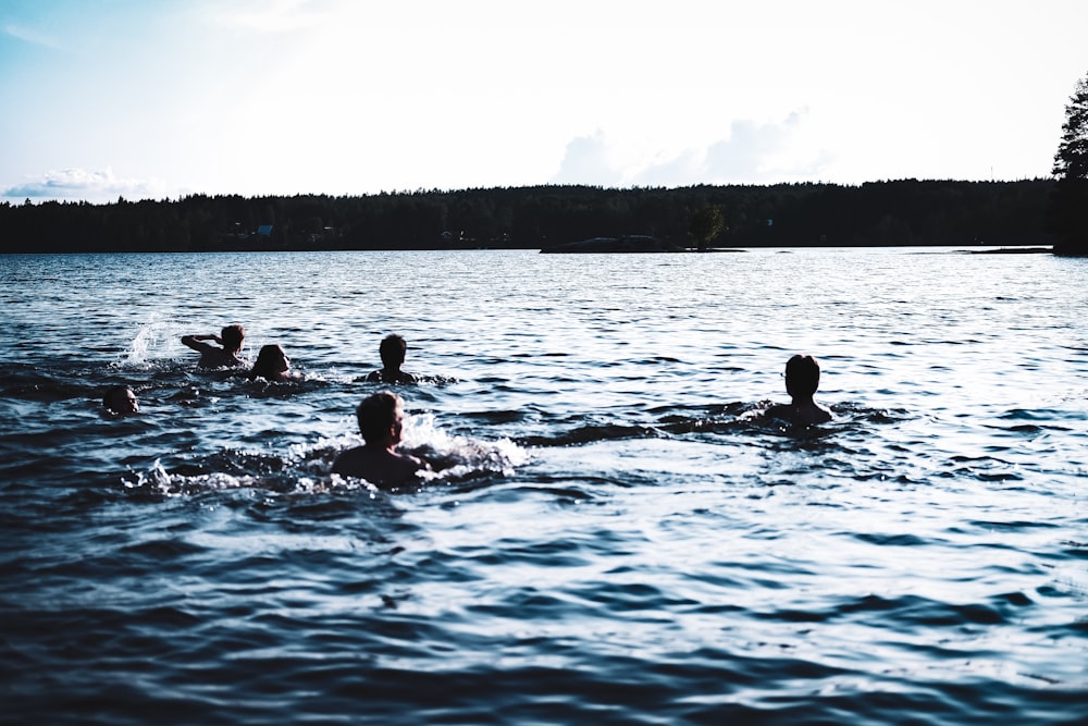 people swimming in water